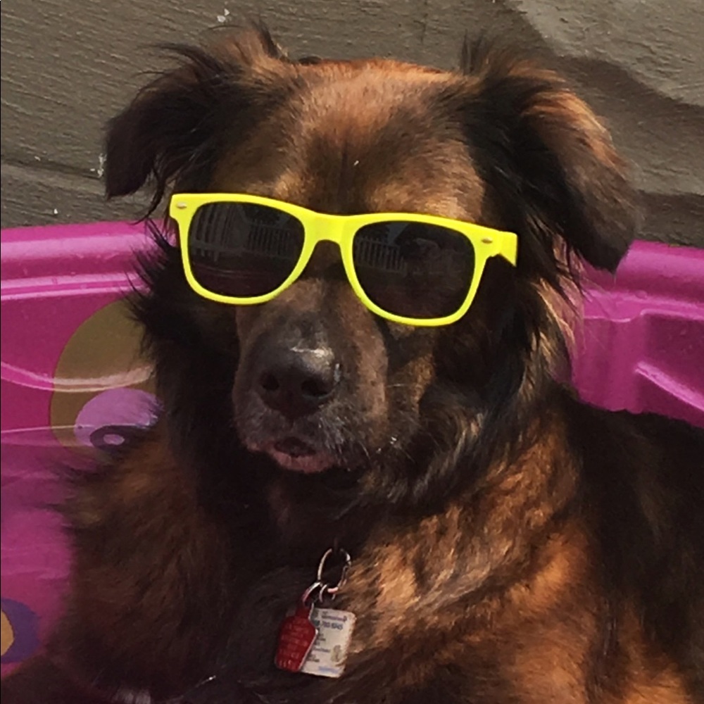 Meet your Posher, Leah